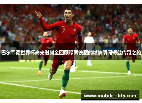 巴尔韦德世界杯高光时刻全回顾绿茵铁腰的燃情瞬间铸就传奇之路