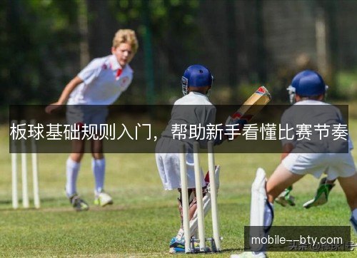 板球基础规则入门，帮助新手看懂比赛节奏